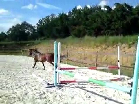 Séance du 5 août - saut en liberté 2