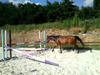 Séance du 5 août - saut en liberté 4