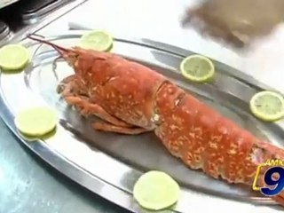 San Giovanni Rotondo | Le ricette dell'Hotel Mir:"Astice in bella vista"