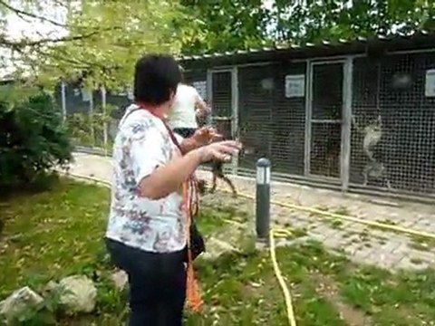 5 août 2011 au Refuge de Beauregard