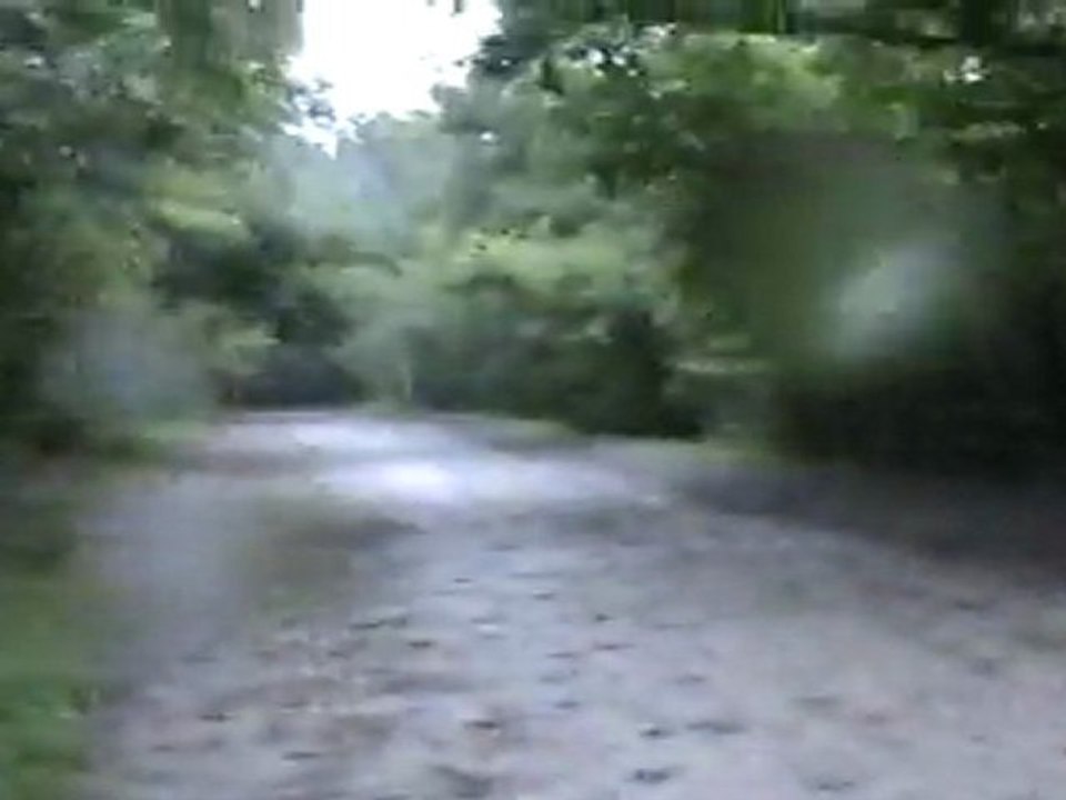 Piste des TF