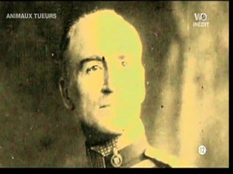 Animaux tueurs, les prédateurs de la savane (3)