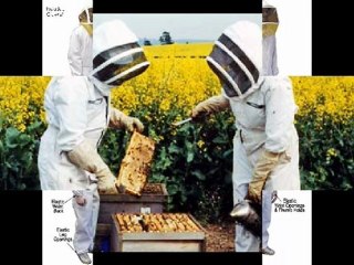 beekeeping suit