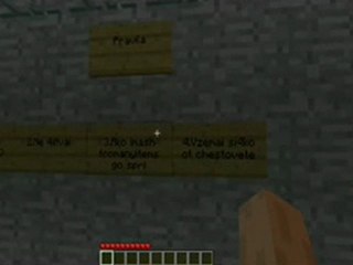 javaw 2011-08-05 16-56-27-65_mpeg1video