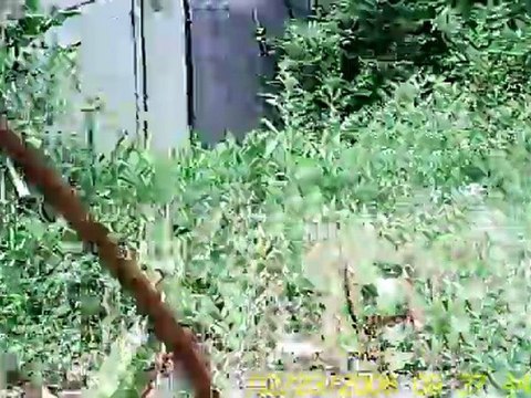 1ére vidéo embarquée avec mon quad E-REVO 1/16 ...