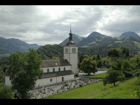 Petite compilation de mes vidéos LIVE photos avec Nikon D200 composé par Roman Pieruzek à Genève Suisse