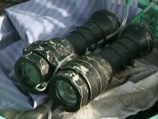 Giant Squid_ Caught on Camera (pt.2)