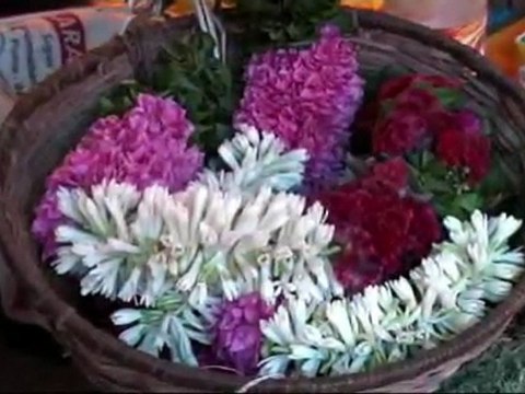 INDE PONDICHERY VILLE INDIENNE