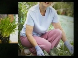 Get Rid of Damaging and Dangerous Mördarsniglar Now!