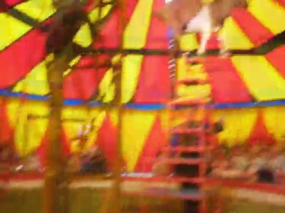 La chèvre équilibriste