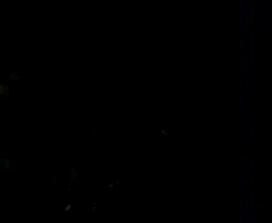 2011-08-06  اطلاق نار كثيف جدا في حمص سوريا الله اكبر intensive shooting syria homs 017