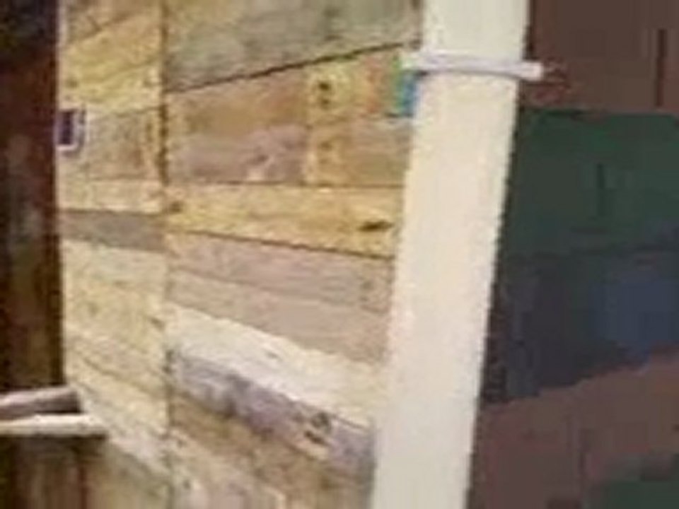 la cabane finie