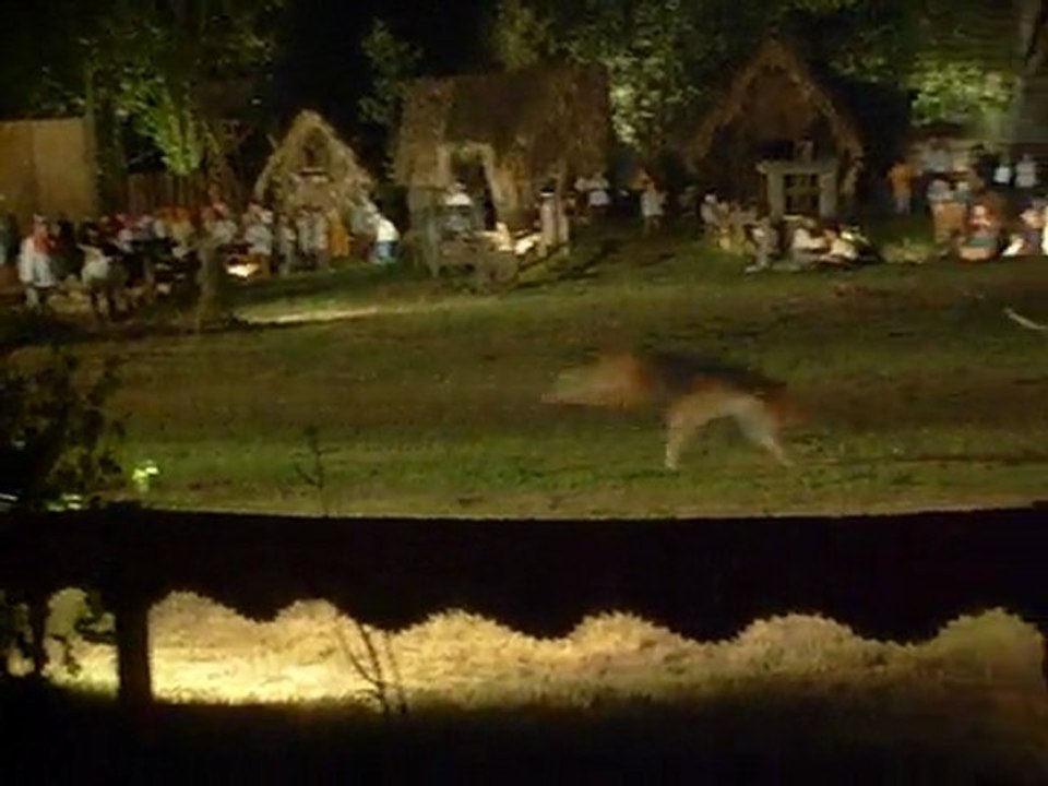 Conomor - Son & Lumière - Saint Gelven -  Chasse à cours