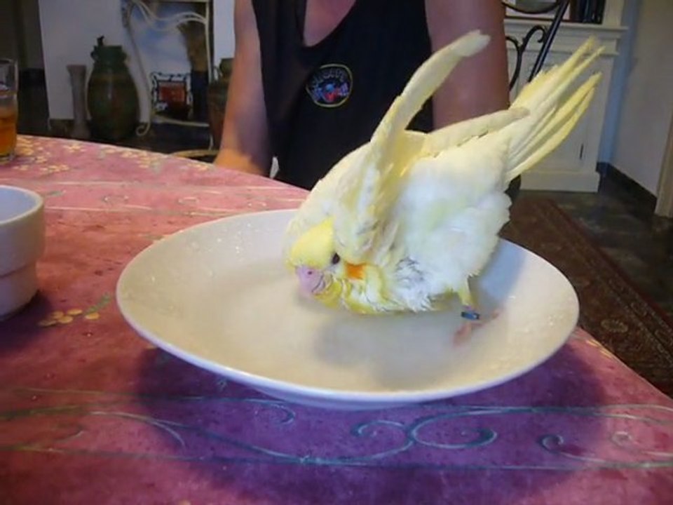 Caroline prend son bain