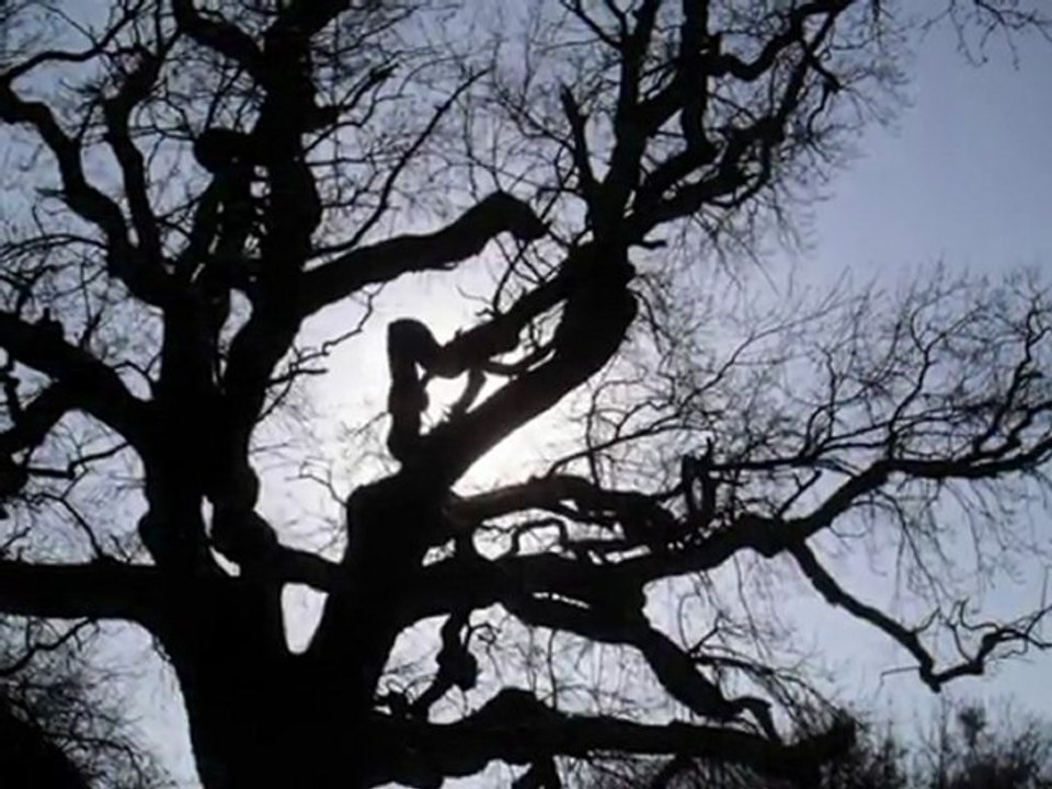 merhem tutmuyor yaralar--müsadenizle