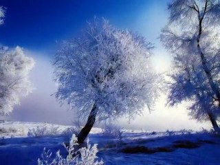 KAFES - Müsadenizle