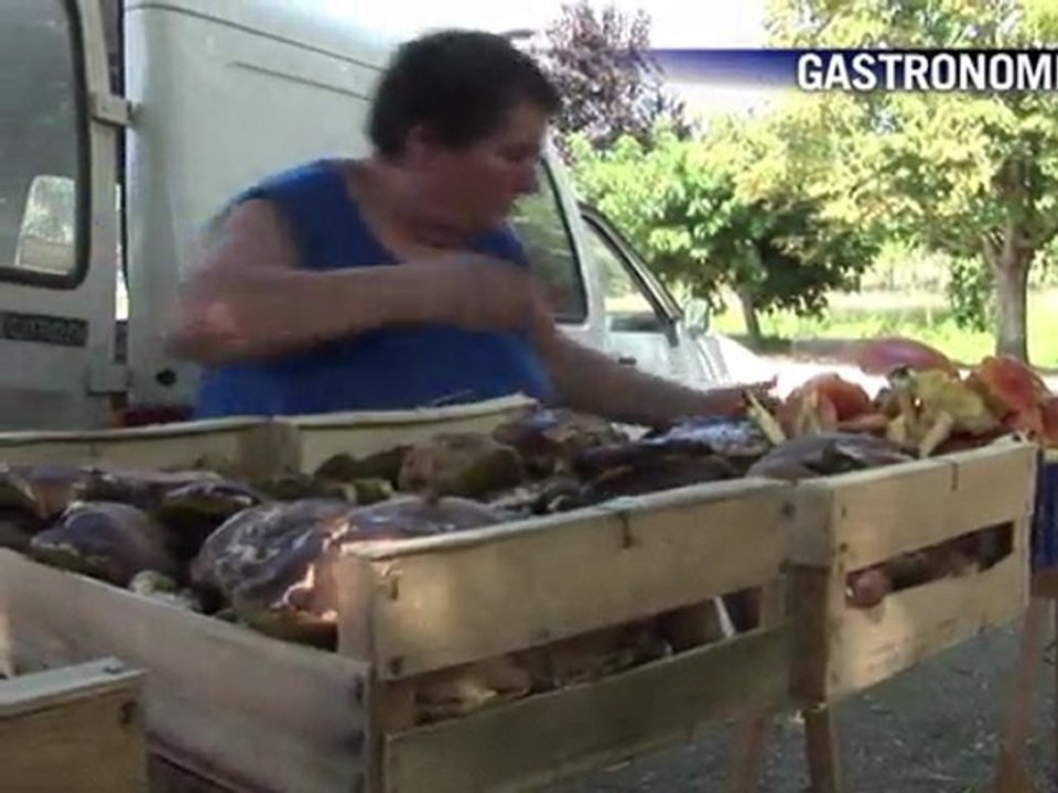 Le Journal vidéo du samedi 6 août 2011, édition de 18H00.