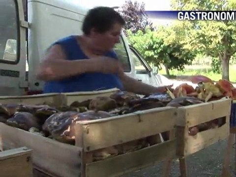 Le Journal vidéo du samedi 6 août 2011, édition de 18H00.