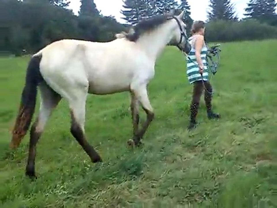 Ballade Avane chaussette