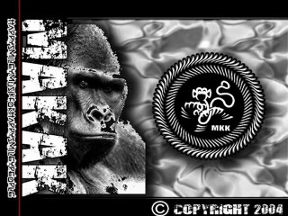 MAKAK PROD-TEMPO X-DIGITAL DIFFUSION