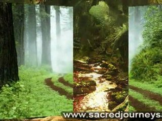 sacred journey sacred life- Survive with cancer