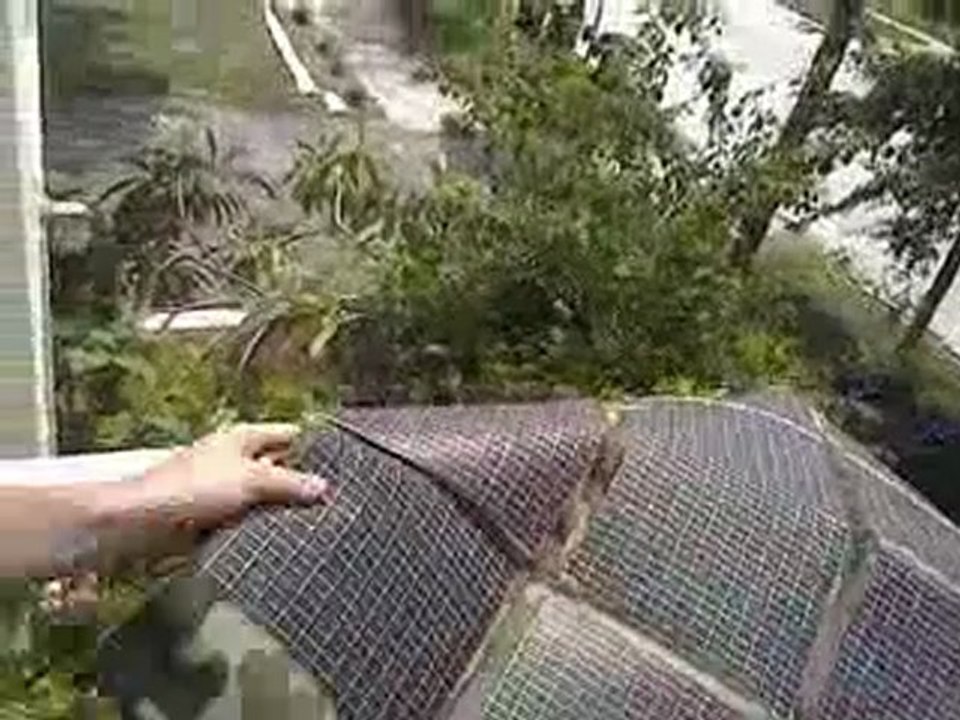 Solar Energy  - Renewable Energy In Florida