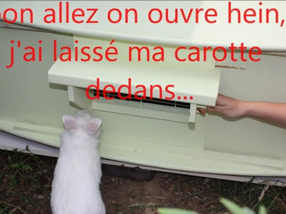 la résidence secondaire de Neige