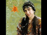 SEVDA GÜL SALLA MENDİLİ(SEVDAMIZ TOKAT)