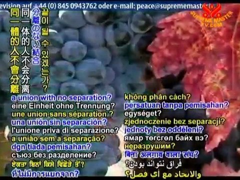 Sufism Fihi ma Fihi: Discourses of Rumi,Chapters 28-29 & 32