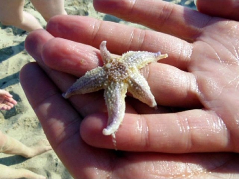 Vacances à La Turballe