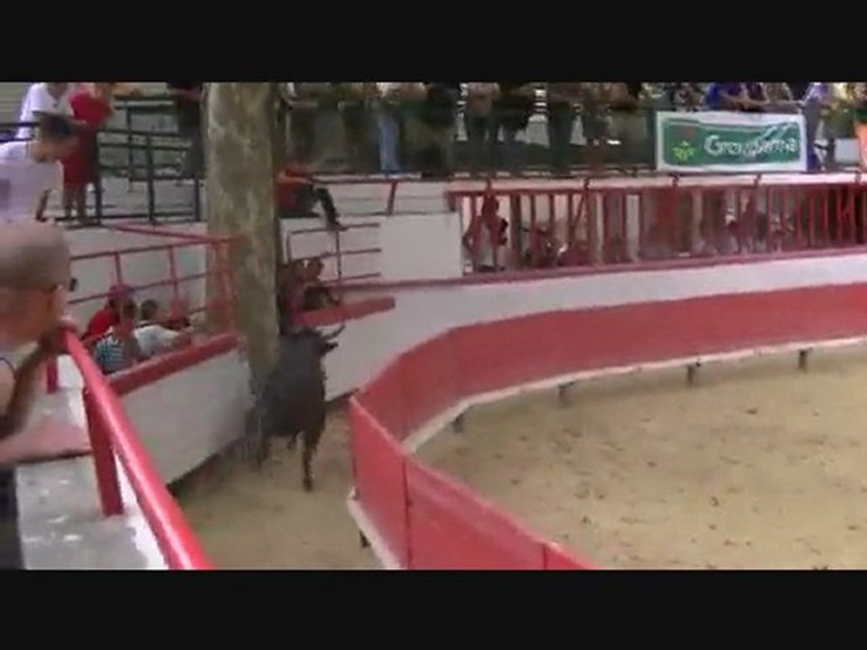 801 guillerme montfrin (course camarguaise)