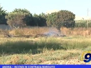 Andria | Incendi in Contrada Borduito