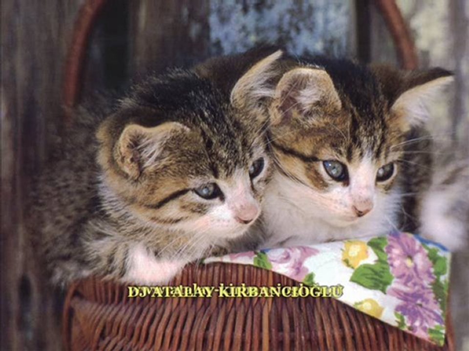 Dj Atalay Kırbancıoğlu Kirbancioglu (Elveda Yunanca Versiyon)