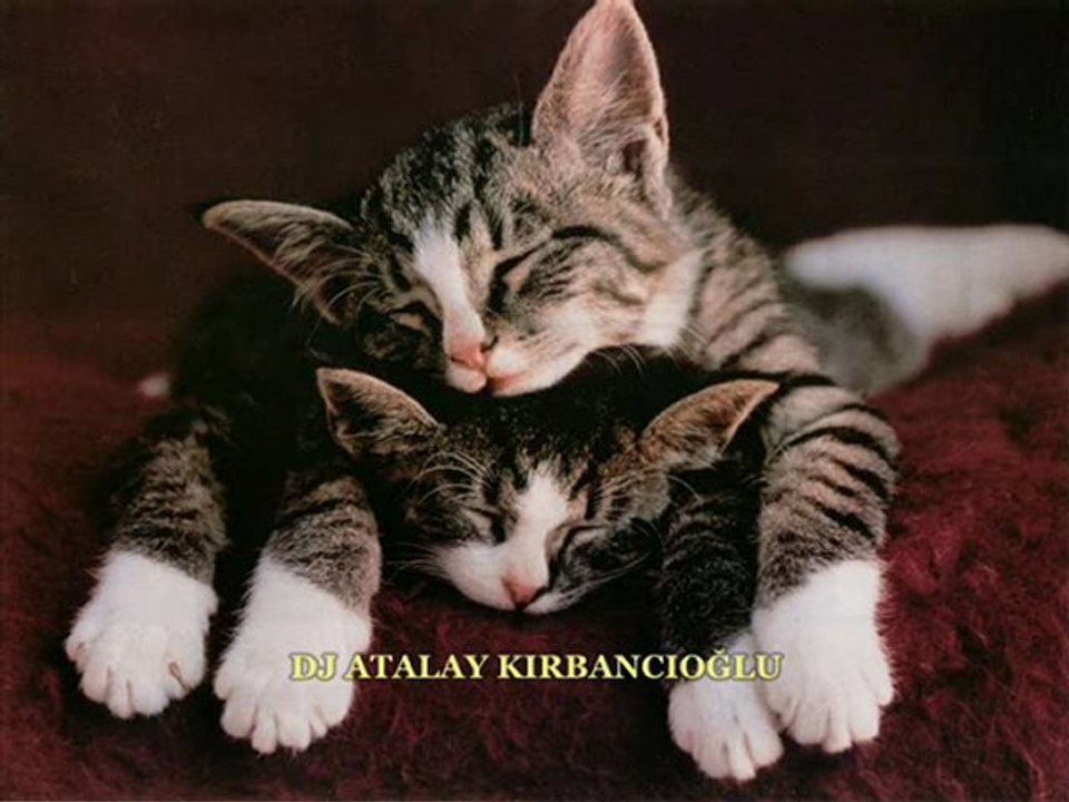 Dj Atalay Kırbancıoğlu Kirbancioglu (Gitme Canım Bulgarca Versiyon)