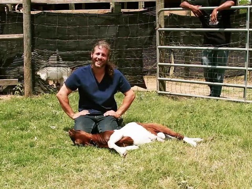 Mercy Halal Islamic Slaughter Part 2 - A