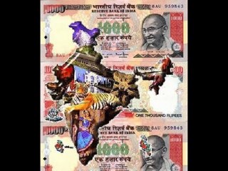 NO1 MONEY MAKING BUSINESS