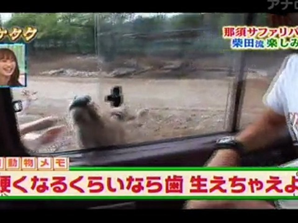 アンタッチャブル 柴田 イケタク 20090721_3