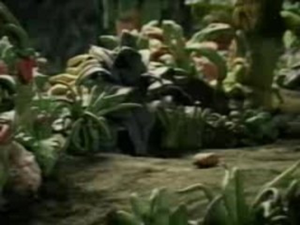 Sergent GArcia - Adelita - virgin