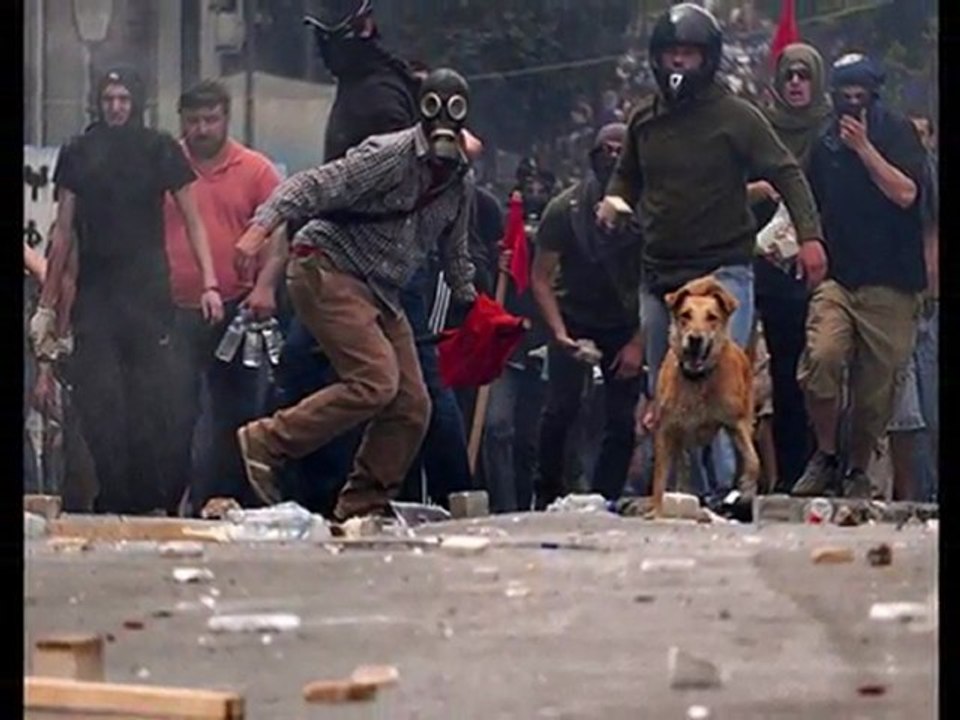 LOUKANIKOS THE HERO RIOT DOG