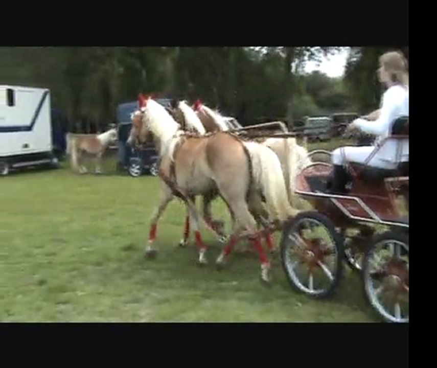 Elevage de la Vallée Mosane 3