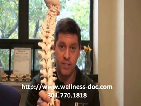 Scoliosis Treatment - Rockville Chiropractor for Scoliosis