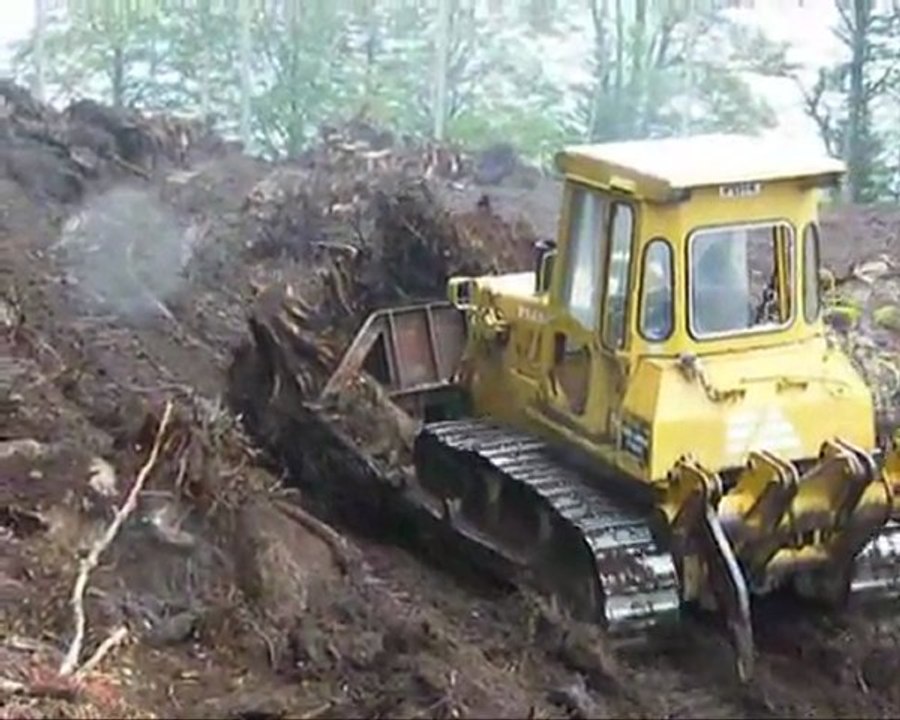 pelle et bull la tuile 3 aout 2011(1)