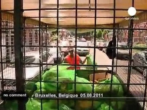 Horses as eco-friendly alternative to... - no comment