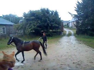 Vasco à la longe au trot à main droite