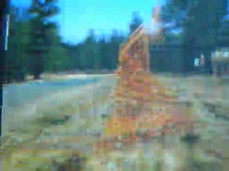 videos 002