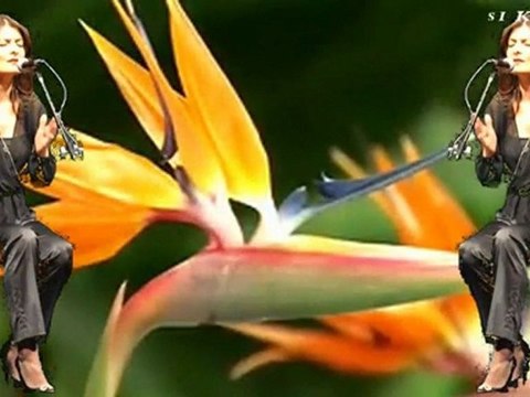 Gül Göre Yazıcı - Titrer yüreğim her ne zaman yadıma gelsen.HD