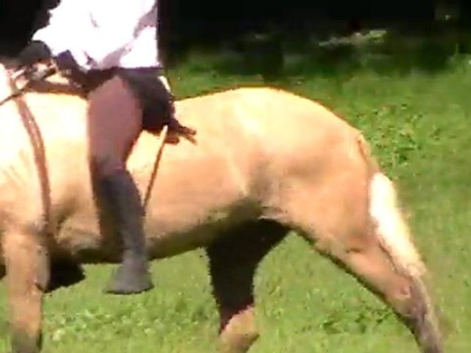 gythan
