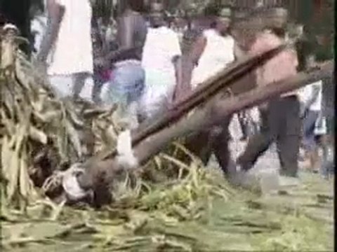 L'armée Française ouvre les massacres en Côte d'Ivoire