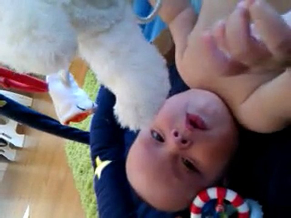 VIDEO0009