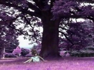 MICHAEL JACKSON SUSIE IN NEVERLAND TRIBUTE SHORT FILM BY TIPOYOCK